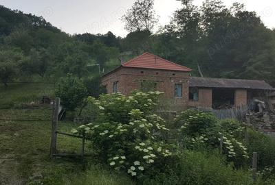 Casa si teren 12000 de vanzare locatie superba! - 2