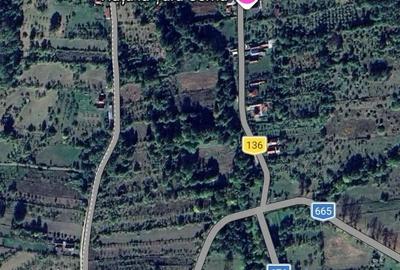 Teren de 2300 mp, în Polovragi - 3