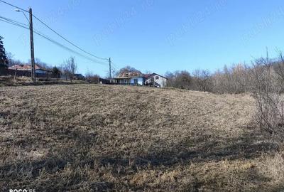 Teren de 1260 mp, în Rusenii Vechi - 2