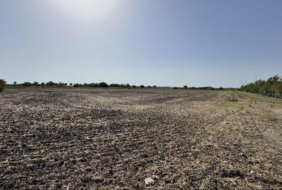 Spațiu comercial, în Sânandrei - 4