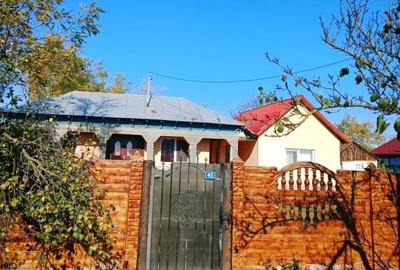 Casã de Vânzare - Bordei -Verde - 4