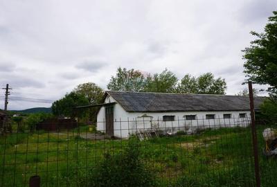 Teren Construcții intravilan de 10941 mp, în Sud-Est - 2