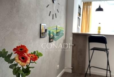 Garsoniera renovata modern str Nada Florilor - Teiul Domnei - 2