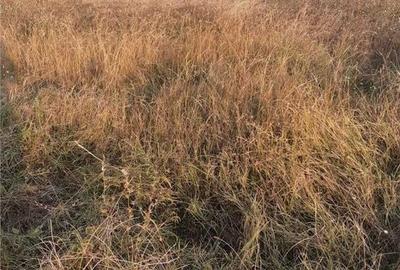 Teren de 492 mp, în Berceni - 2