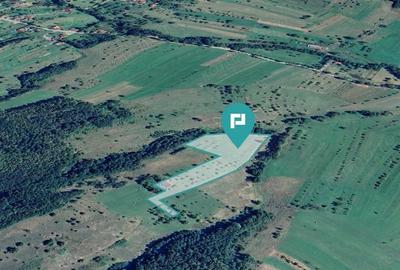 Teren de 92294 in Halmagiu - 4