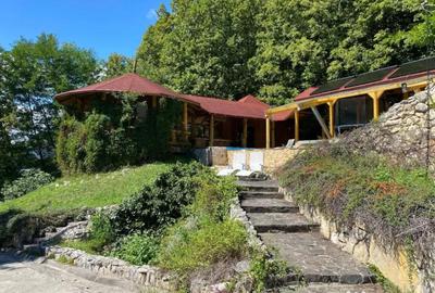Casă cu 7 camere cu Teren 17000 Mp în Cărbunari - 3
