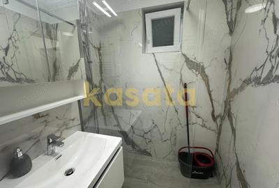 Apartament cu 2 camere decomandat, mobilat în Gorjului - 11