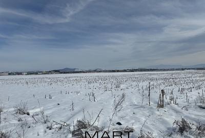 Teren Construcții intravilan de 425 mp, în Stupini - 2