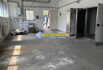 Spațiu industrial, de 160 mp, în Ampoi 1 - 4