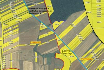 Teren agricol intravilan de 16872 mp, în Butimanu - 5