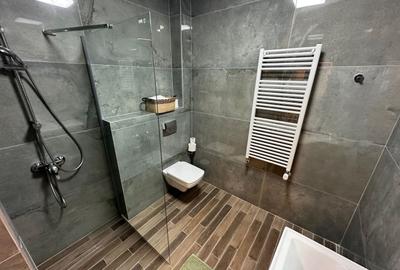 Casa Lipovei transformata in SAD - 29