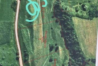 Spațiu comercial, în Slimnic - 5