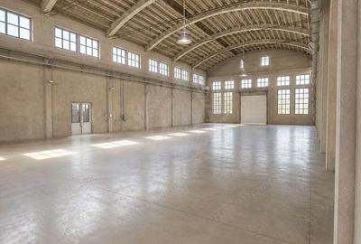 Spațiu comercial, de 3,500 mp, în Bereasca - 10
