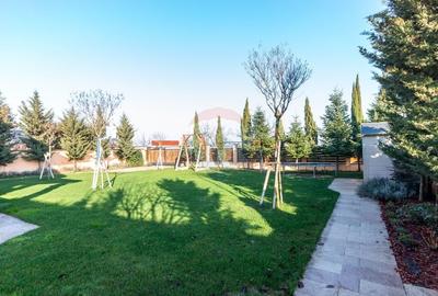 Vilă P+E+M cu 4 camere, 320 mp, Berceni/Ilfov - 30