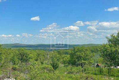 Teren de 1000 mp, în Central - 7