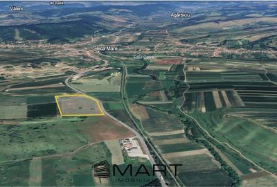 Teren extravilan 42000MP Seica Mare - Sibiu - 4