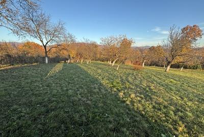 Teren de vanzare Unguras - 7