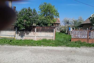 Casă cu 1 camere în Cistei - 4