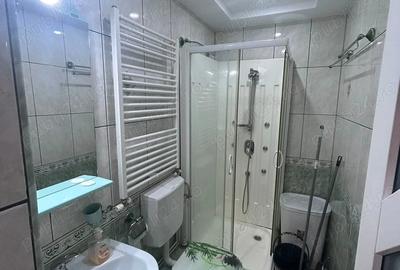 Inchiriez garsoniera Vasile aaron - 5