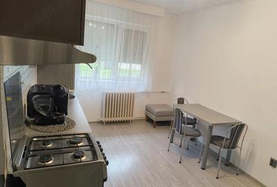 Apartament cu 2 camere nedecomandat în Nufărul - 9