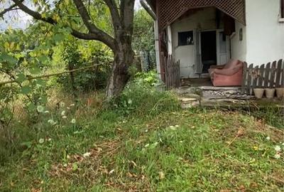 Casă cu 3 camere în Criș - 7