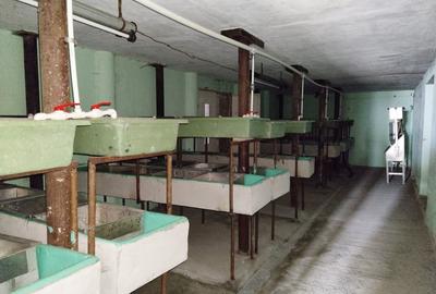 COMISION 0% Oportunitate de afacere/acvacultura in sistem RAS/3150 mp/Cisnadie - 9