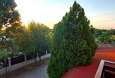 Casa de vanzare Tancabesti, com Snagov | Oaza de liniste | 1200 mp - 3
