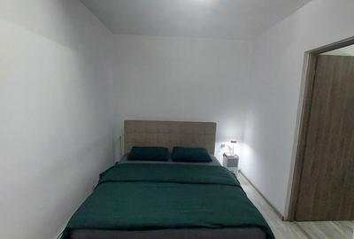 Apartament cu 2 camere semidecomandat în Vitrometan - 6