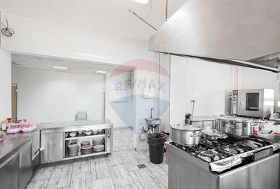 Hotel/Pensiune de vanzare cu 16 camere, Punct de Frontie... - 17