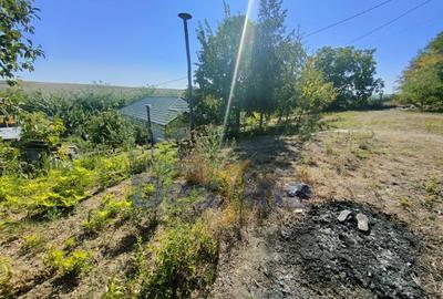 Casă individuală cu 4 camere cu Teren 6400 Mp în Hărpășești - 15