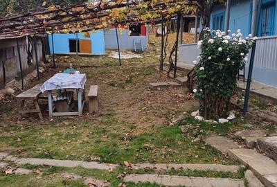 Casă cu 3 camere în Leorda - 6