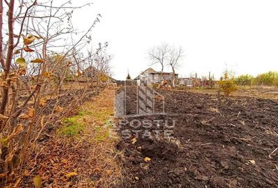 Teren 1000mp Cu Utilitati Dudesti Noi - 13