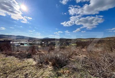Teren intravilan de vanzare, 11.33 ari, situat in zona Valea - 2