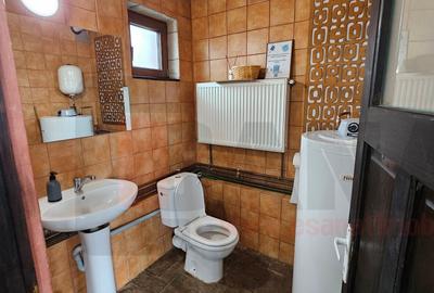 Pensiune + 2 Case, Piscina, Iaz, Garaj, Curte 3.200 mp, panouri |VIDEO - 10