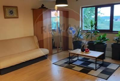 Apartament cu 2 camere decomandat în Paleu - 10