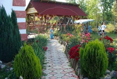 Casă individuală cu 6 camere cu Teren 1364 Mp în Ocna Șugatag - 21