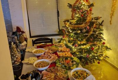 Pensiune la Cheia, moderna, functionala in totalitate, vedere mirifica (chirie) - 21