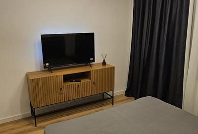 Apartament cu 2 camere decomandat, mobilat în Gorjului - 15