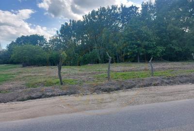 Teren intravilan 1843 mp - Cerbu/Albota/Arges - cu proiect de casa pe parter - 1