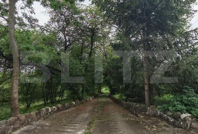 Teren de 14000 mp, în Mihai Viteazu - 18