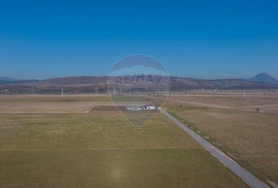 Teren de 11600 mp, în Central