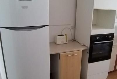 Apartament cu 2 camere decomandat în Olteni - 8