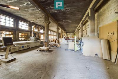 Fabrica de prelucrare a lemnului ?i palului - 4