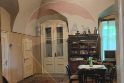 Casa istorica in zona centrala Ludus- Mures - 11