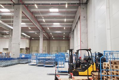 Spațiu industrial, de 1,000 mp, în Mogoșoaia - 6