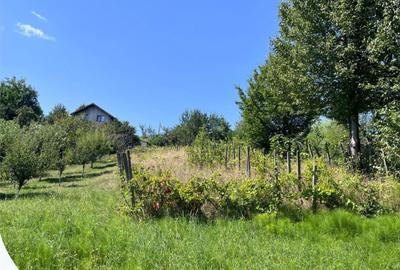 Casă cu 2 camere cu Teren 1248 Mp în Bârnova - 1