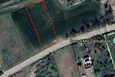 Spațiu comercial, în Tâncăbești - 3