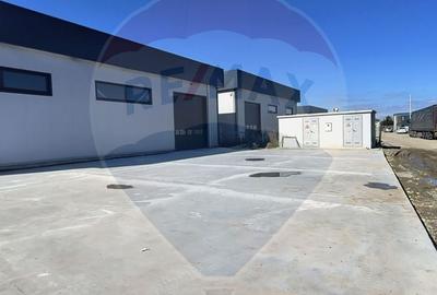 Hale noi de inchiriat Domnesti - putere instalata pana la 600kva - 9