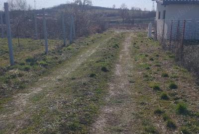 Teren de 900 mp, în Central - 2