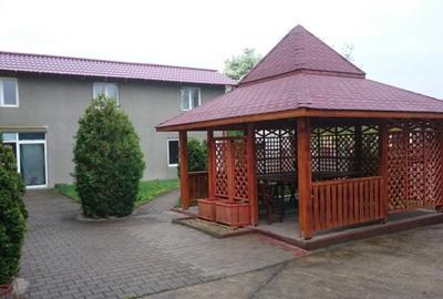Spatiu comercial Salaj comuna Surduc - 6